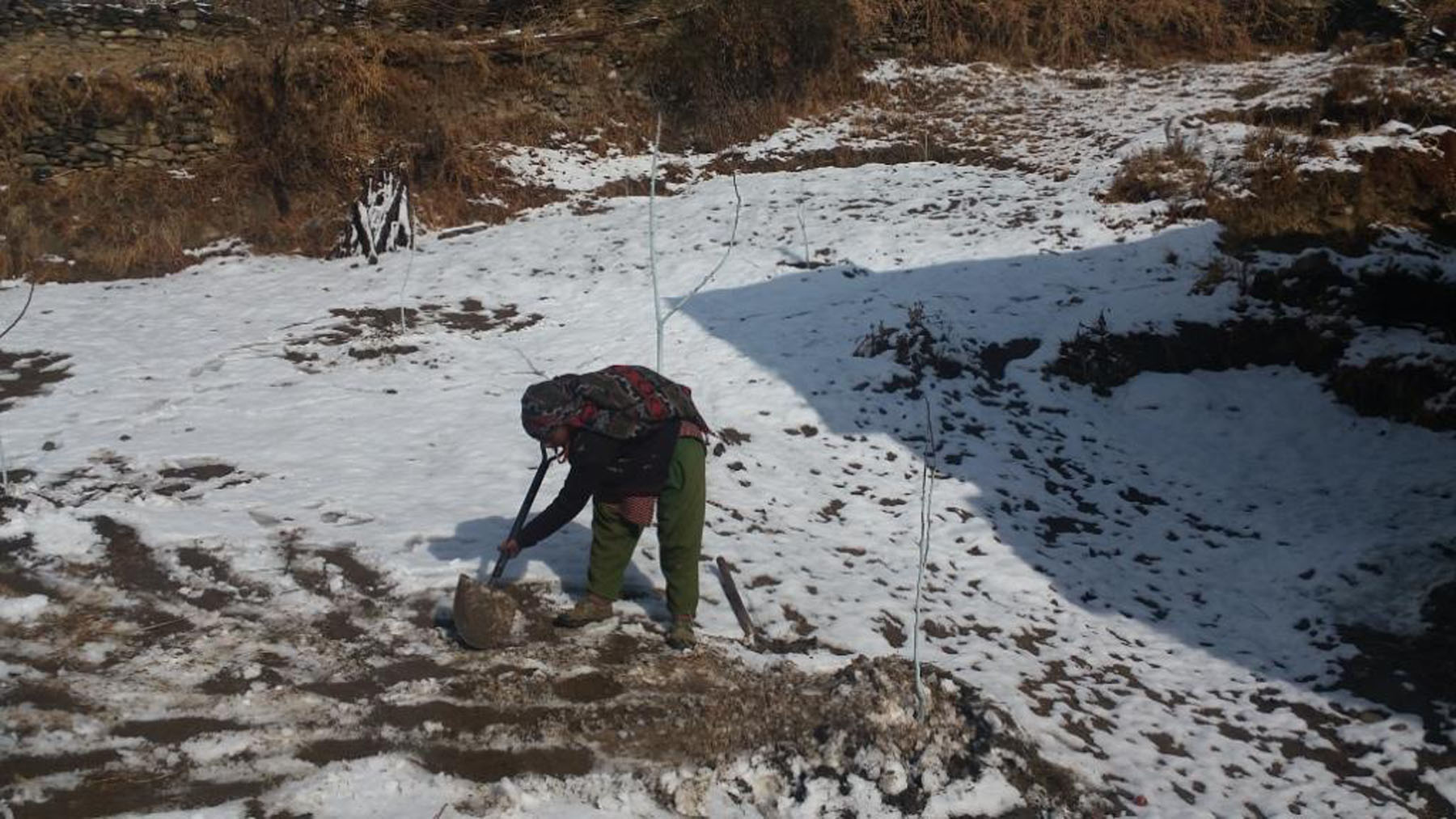 गोरखाको नुब्री भ्यालीमा हिमपात, स्थानीयवासीको जनजीवन प्रभावित