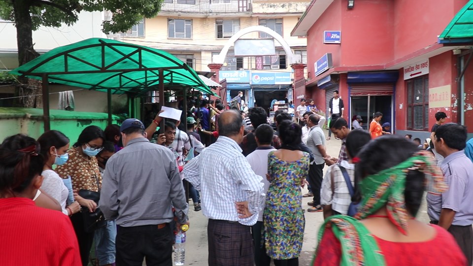 शुक्रराज अस्पतालमा मात्रै १३५० डेङ्गु रोगी फेला, के हो डेङ्गु ?