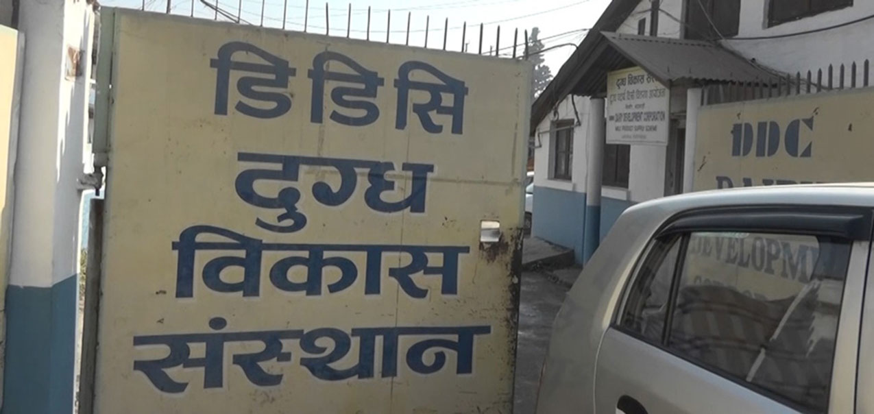 डीडीसीमा डेढ करोड घोटाला