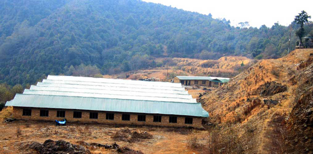 फार्ममा लगानी १५ करोड, छैनन् गाई