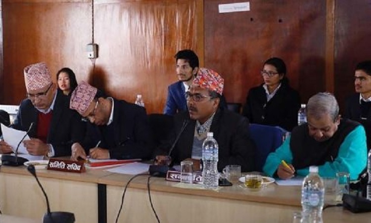 बीमा समितिको क्षमतामाथि विज्ञहरुको प्रश्न, क्षमता अझै सुधार गर्न विज्ञको सुझाव, ८५ वटा संशाेधन प्रस्ताव