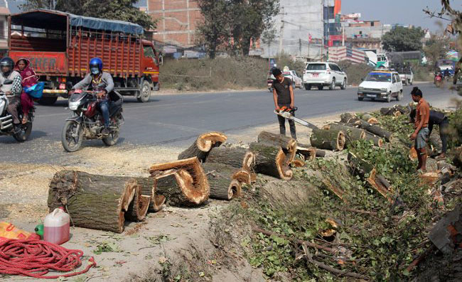 कलङ्की–धोबीखोला सडकमा संरचनाहरु धमाधम हटाइँदै
