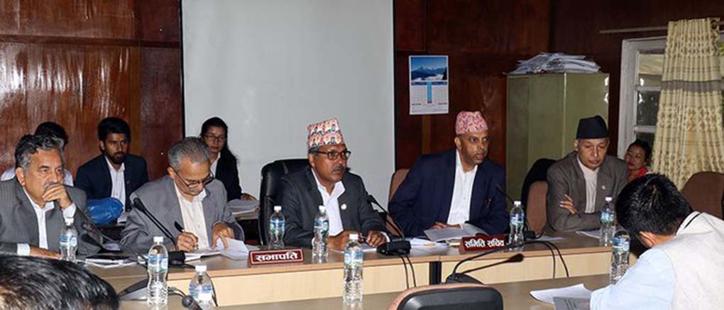 ‘बीमा समिति’ खारेज गरेर ‘नेपाल बीमा प्राधिकरण’ बनाउँदै सरकार, बीमा कम्पनीको सीईओ बन्न पनि ‘सीमा’ तोकिदै