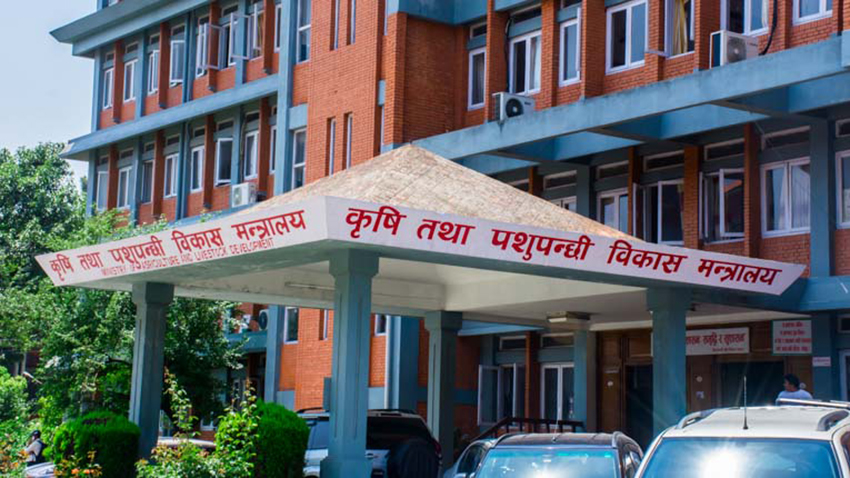 कृषि मन्त्रालय अन्तर्गतका पाँच संस्थानमा नियुक्ति, डीडीसीमा पौडेलले बाजी मारे