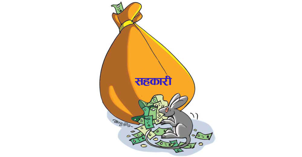 सहकारीका समस्या : समाधान गर्न सरकार उदासीन