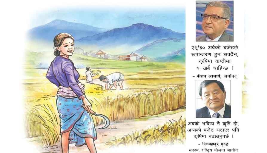 कृषिमा कति बजेट ? : मन्त्रालयले माग्यो थप ९ अर्ब रुपैयाँ