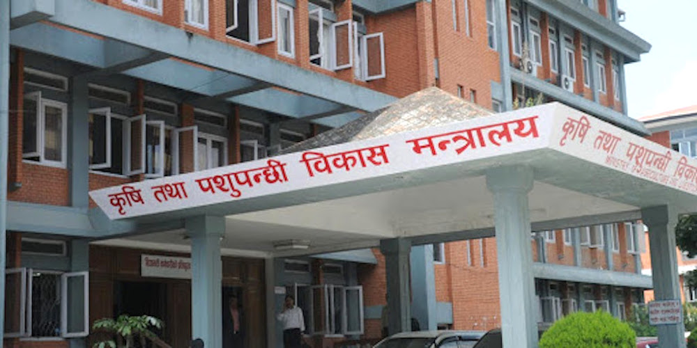 अचम्मको देश : कम्युनिष्ट मन्त्री अर्बौंको कमिसन डिल गर्छन, श्रमजीबीले महिनौं तलब पाउँदैनन्
