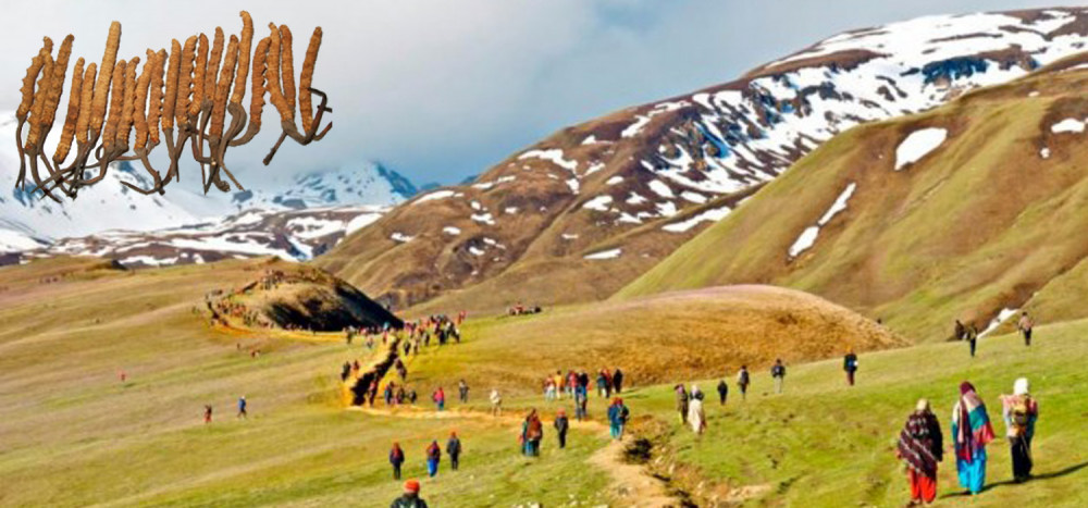 यार्सा ट्रेलको काम जारी