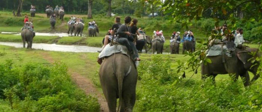 चलायमान बन्दै सौराहामा पर्यटकीय गतिविधि