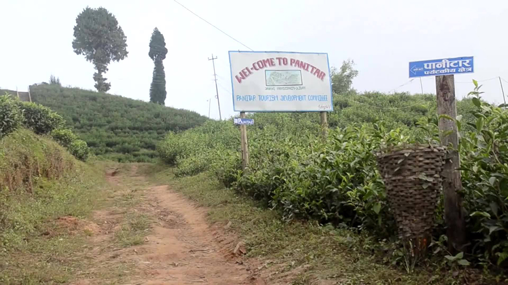 पर्यटकको आकर्षण बन्दैछ इलामको पानीटार