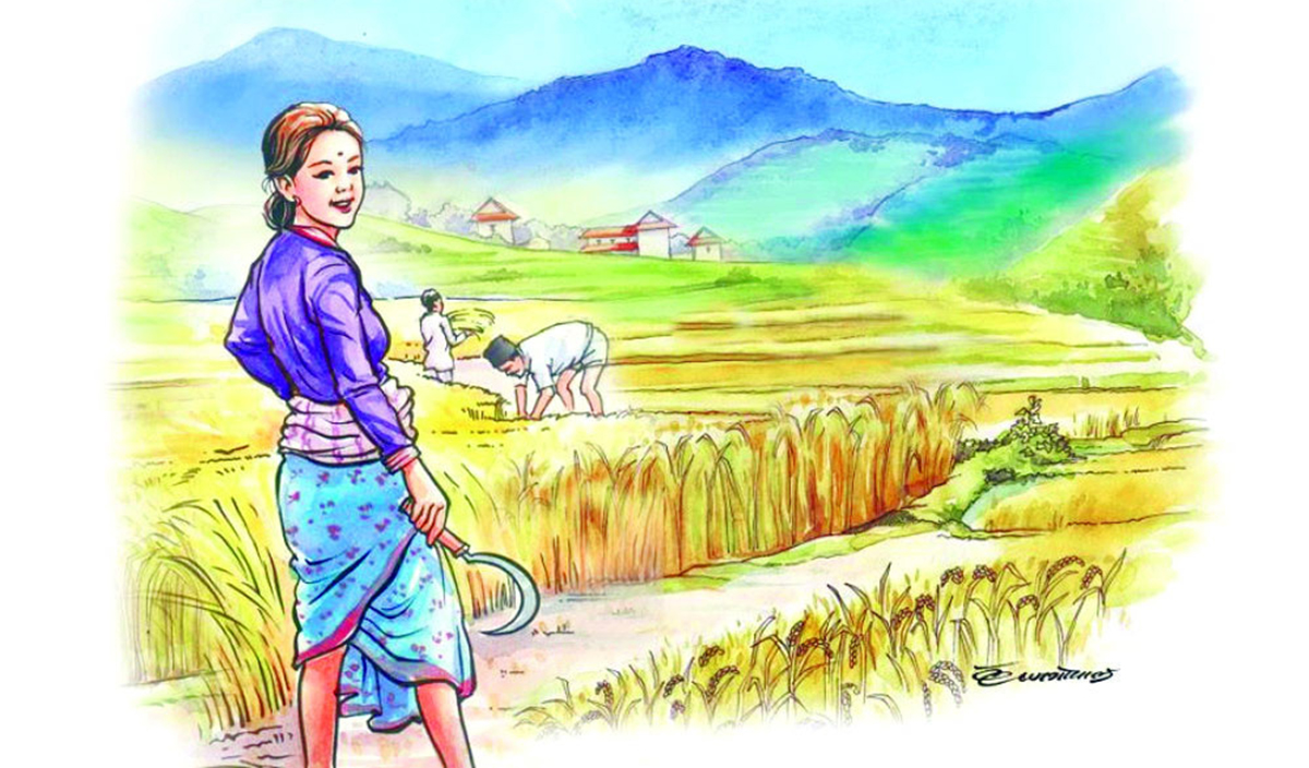 कानुनी अप्ठ्यारोमा ‘कृषि ऋणपत्र’