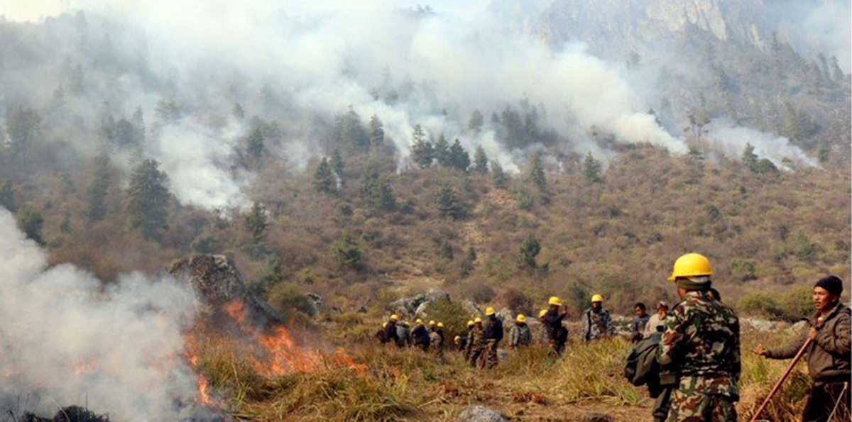 मनाङको जङ्गलमा फेरि बल्यो आगो, स्थानीय चिन्तित