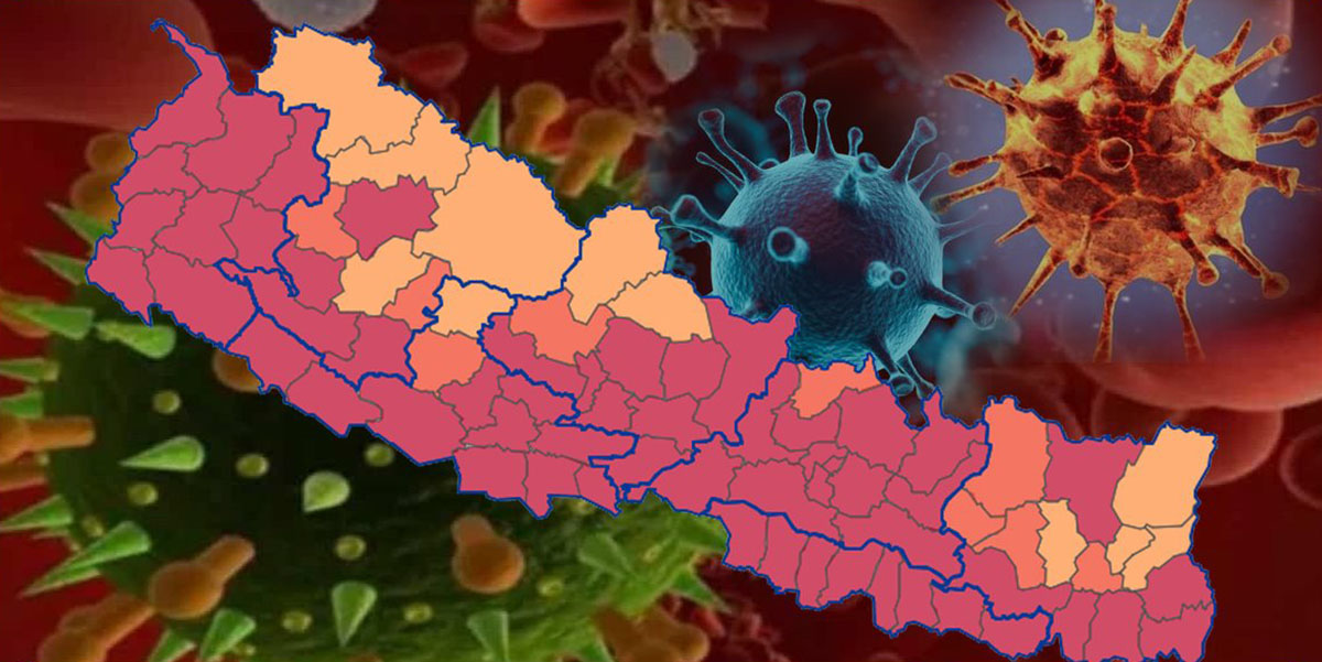 ह्वात्तै घट्यो कोरोना संक्रमित, वितेको चौविस घण्टामा २७२ जना कोरोना संक्रमित, आठ जनाको ज्यान गयो