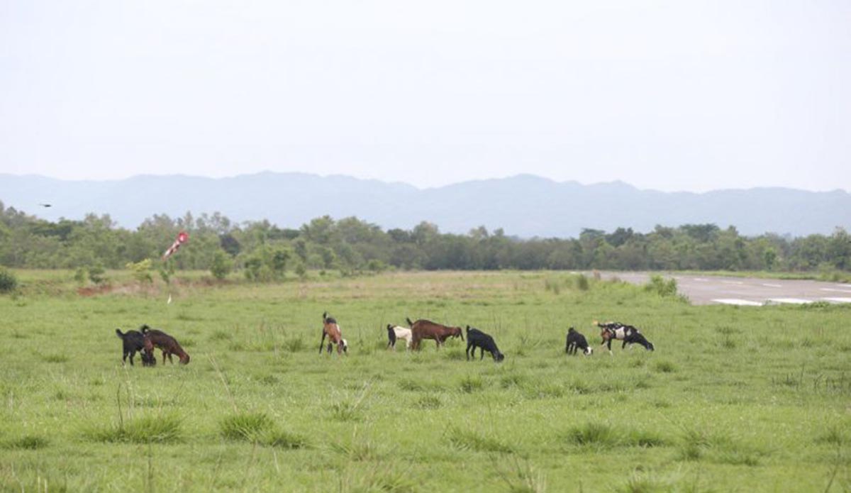 हवाईजहाजको पर्खाइमा टीकापुर विमानस्थल