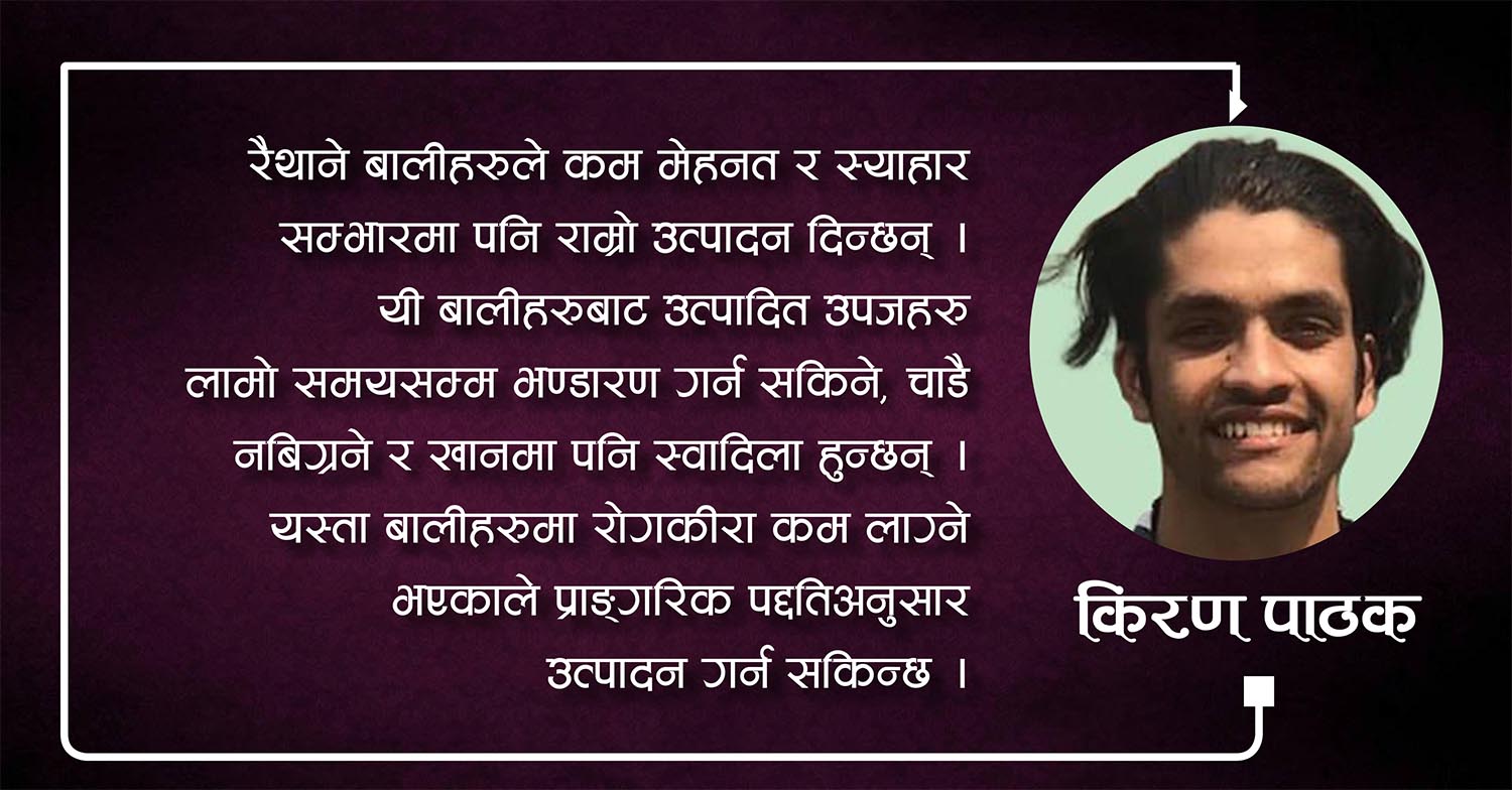 रैथाने बाली: आहारादेखि व्यवसायसम्म