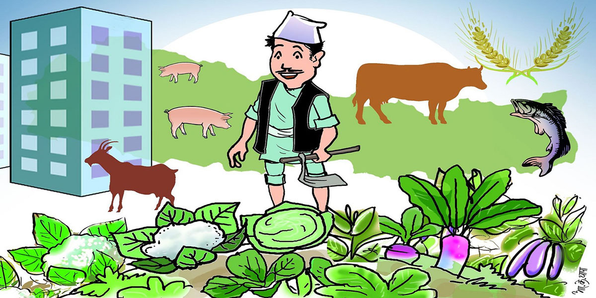 ‘कृषिप्रधान देशमा खोइ कृषि ऐन ?’