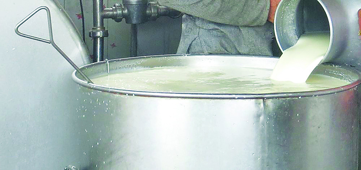 नमुना ल्याएर डेरीलाई तर्साउँदै, उन्मुक्ति पनि दिँदै