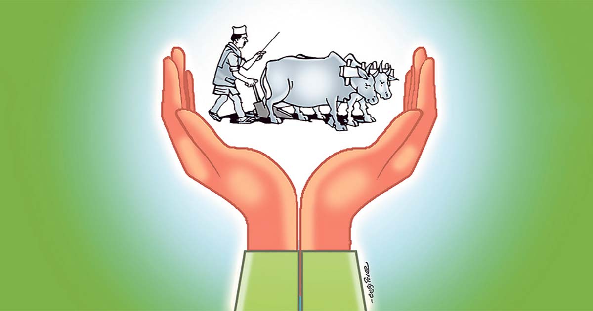 सरकारी प्रणालीमा १९ लाख ७१ हजार किसान परिवार सूचीकृत