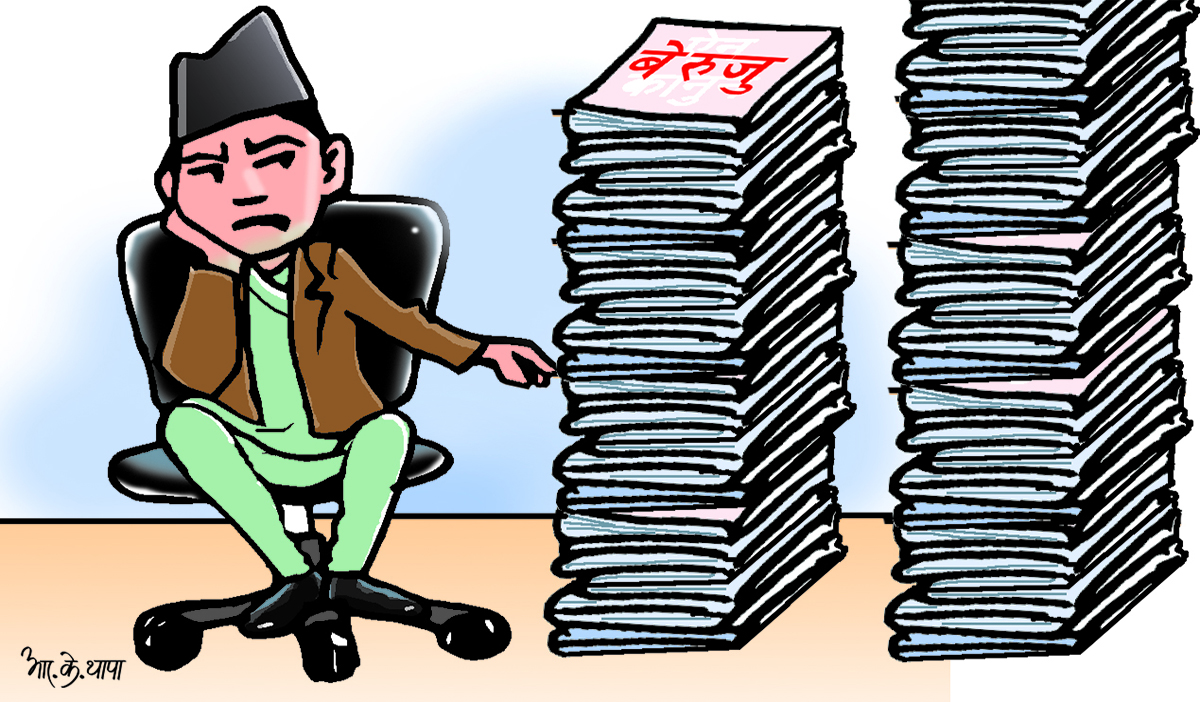 बेरुजु १२२ % बढ्यो