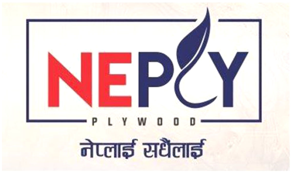 राजस्व छलीमा पोख्त भगवती लेमिनेट्स, यसरी गरिरहेको छ, भगवती लेमिनेट्सले राजस्व छली