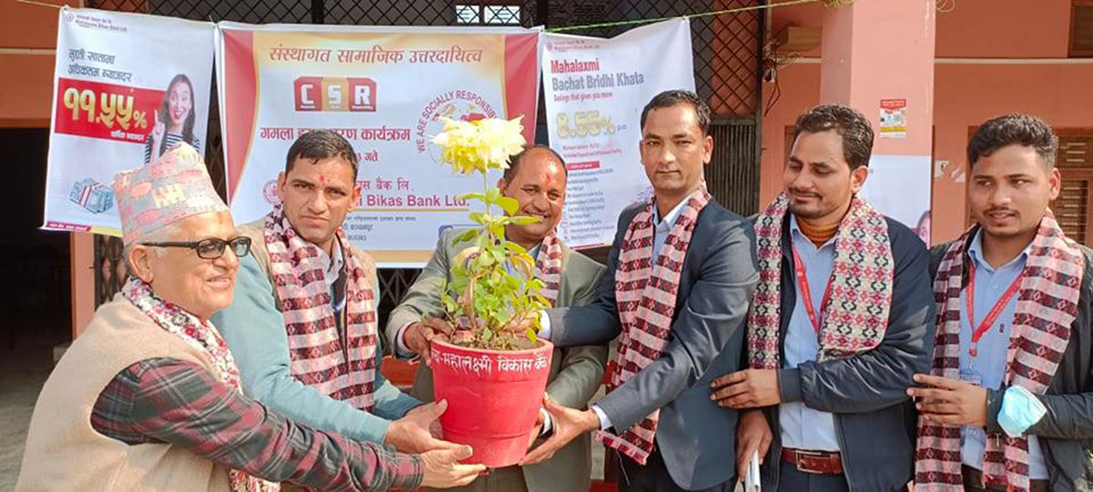 महालक्ष्मी विकास बैंकद्वारा क्याम्पसलाई गमला वितरण