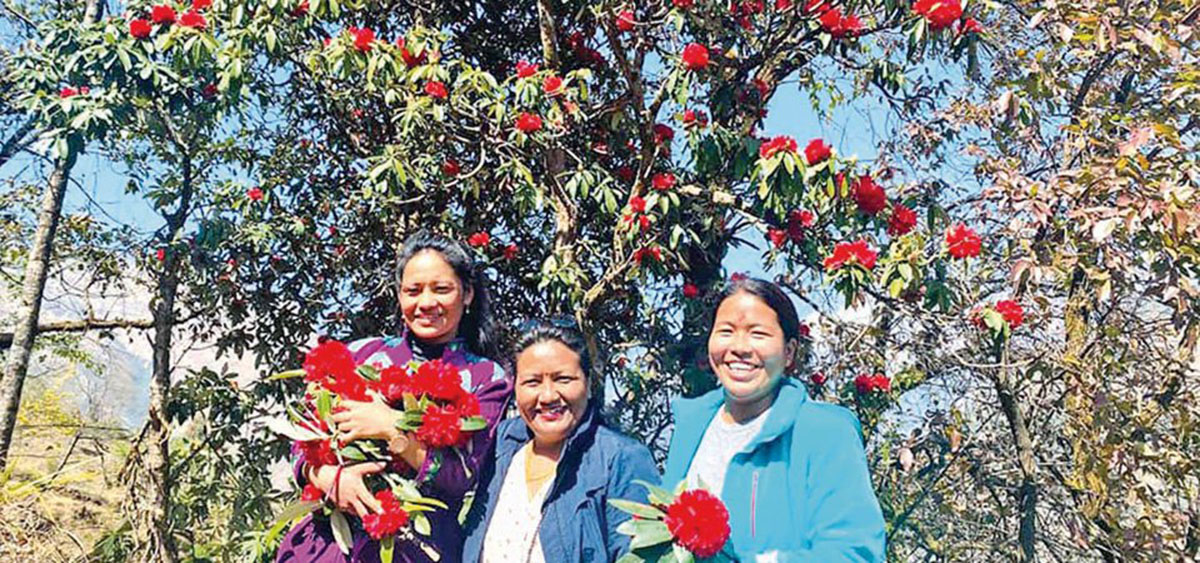 अन्तर्राष्ट्रिय महिला दिवस : प्रमुख पदमा महिलालाई पचास प्रतिशत