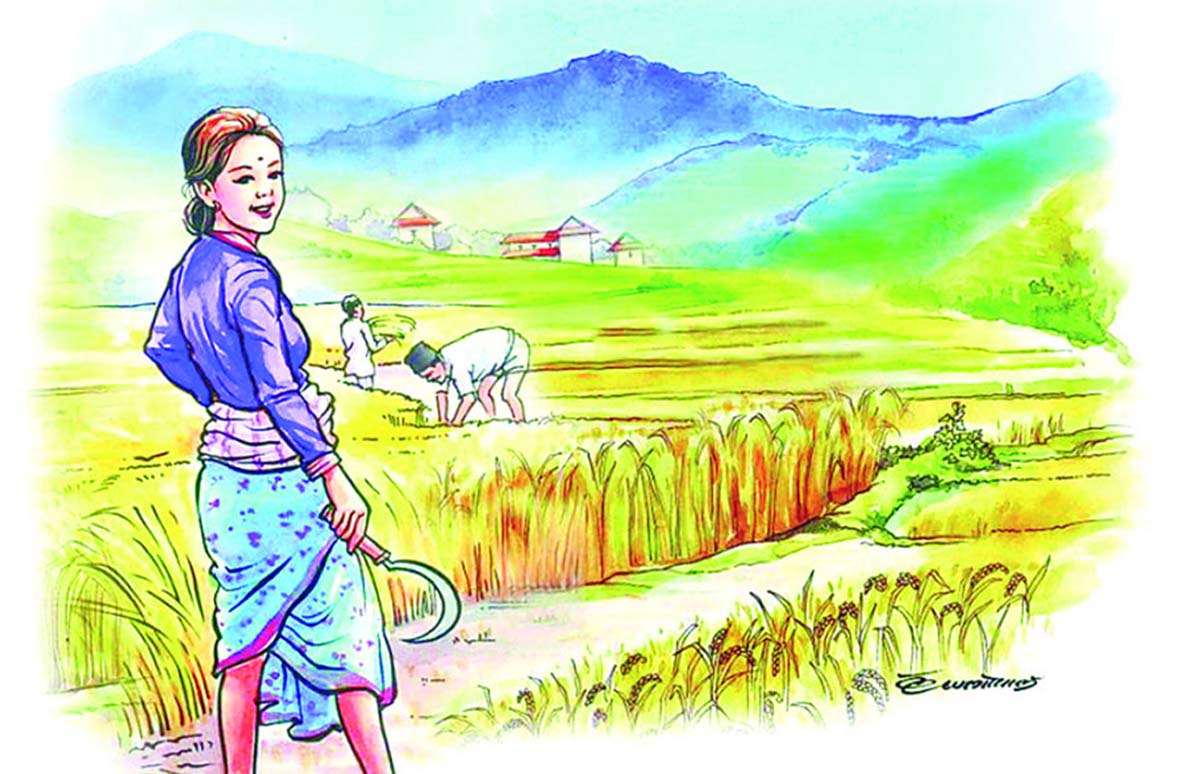 जीडीपीमा कृषिको योगदान र वृद्धिदर घटेको घट्यै