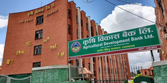 खराब कर्जा बढ्दा कृषि विकास बैंकको नाफा ३० प्रतिशतले घट्यो, निष्क्रिय कर्जा ४.०७ प्रतिशत पुग्यो