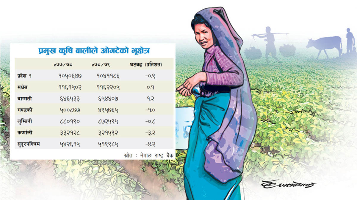 बाँझो र घरघडेरी बढ्दा कृषि बालीको क्षेत्र घट्यो