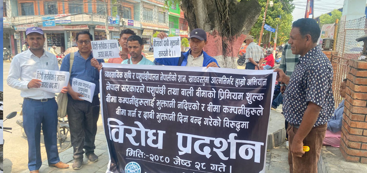 तनहुका किसानले बीमाको रकम पाएनन्, किसानहरु आन्दोलित