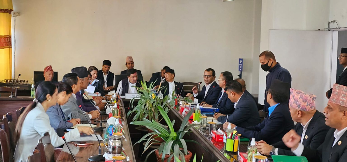 पुराना ५० वटा ब्रोकरले ७० प्रतिशतसम्म नाफा खाएको बोर्डका अध्यक्ष हमालको दाबी