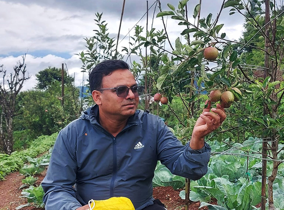 अर्नाकोटमा फल्यो एकै वर्षमा इटिलियन गाला फुजी स्याउ