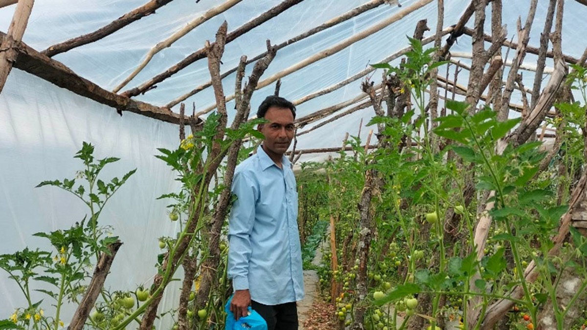 शिक्षण पेसाभन्दा तरकारी खेतीबाट राम्रो धन कमाउँदै ‘धनवीर’