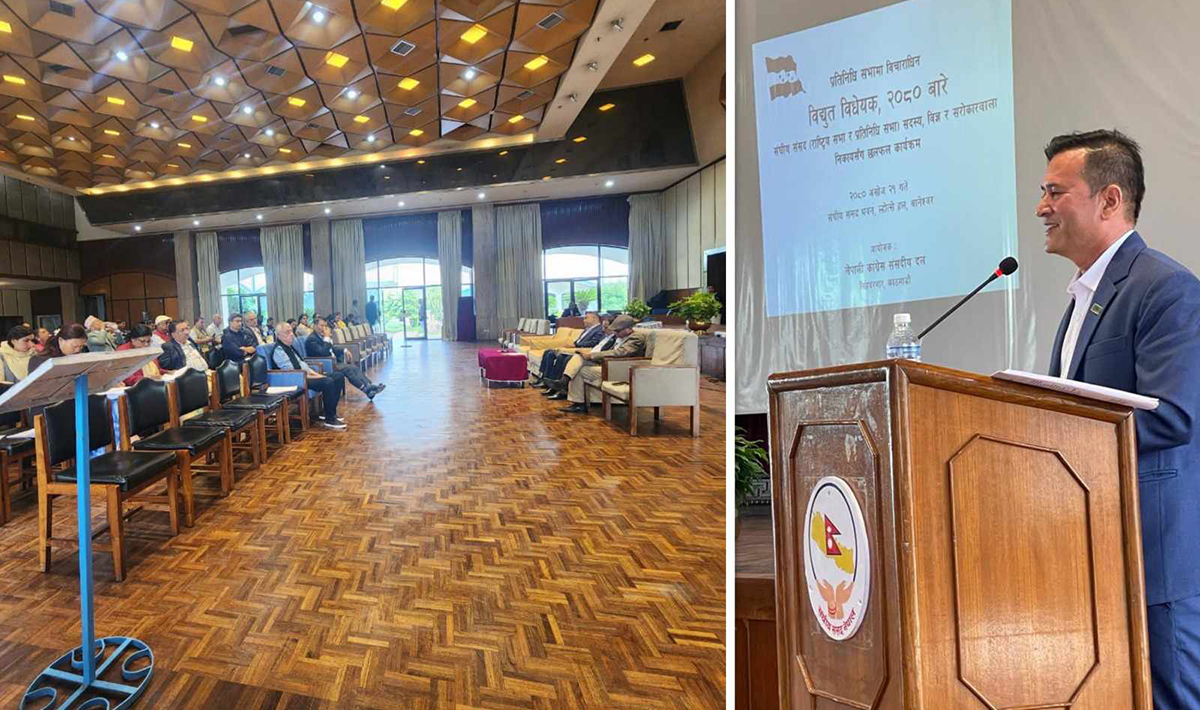 विद्युत विधेयक जस्ताको त्यस्तै आयो भने निजी क्षेत्र कोमामा जान्छ: इप्पान अध्यक्ष कार्की