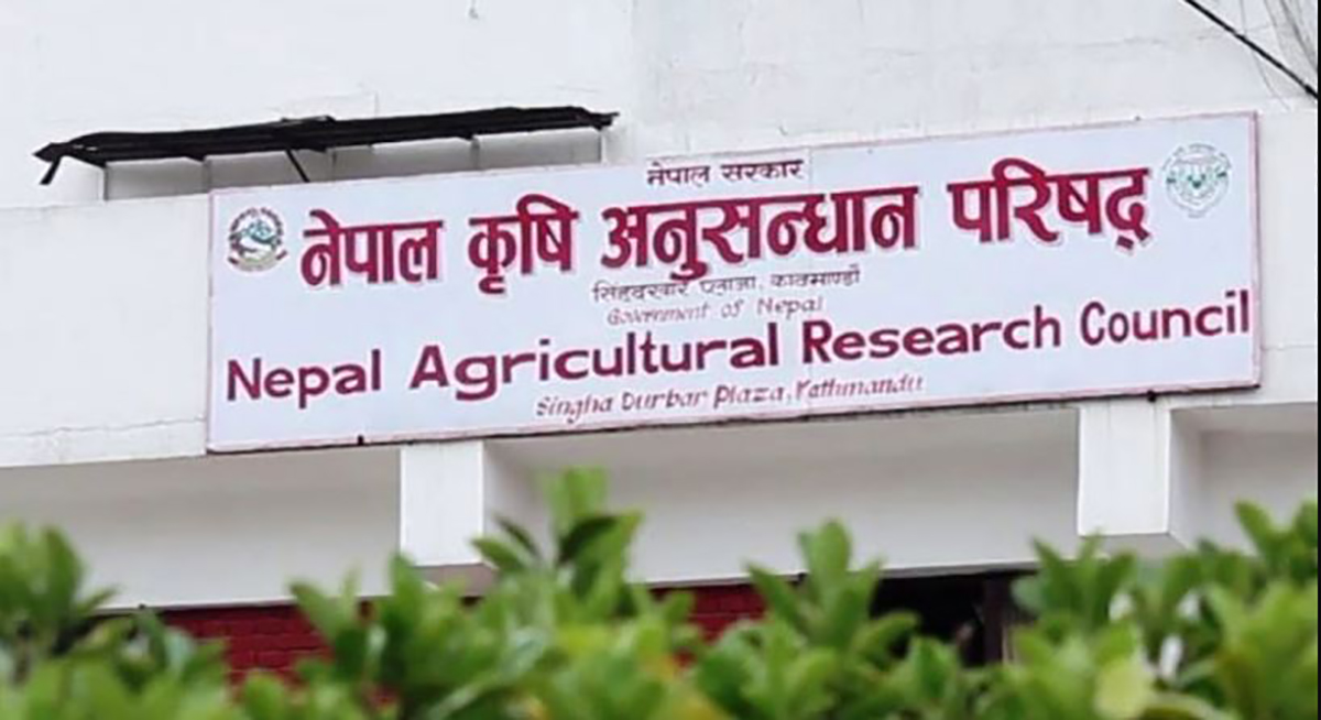 नेपाल कृषि अनुसन्धान परिषदले उच्च पर्वतीय क्षेत्रमा जिन बैङ्क स्थापना गर्ने