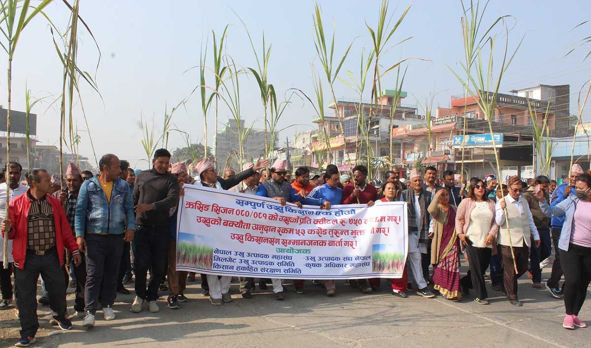 उखुको लाँक्रा बोकेर किसान सडकमा निस्किएर गरे नाराबाजी