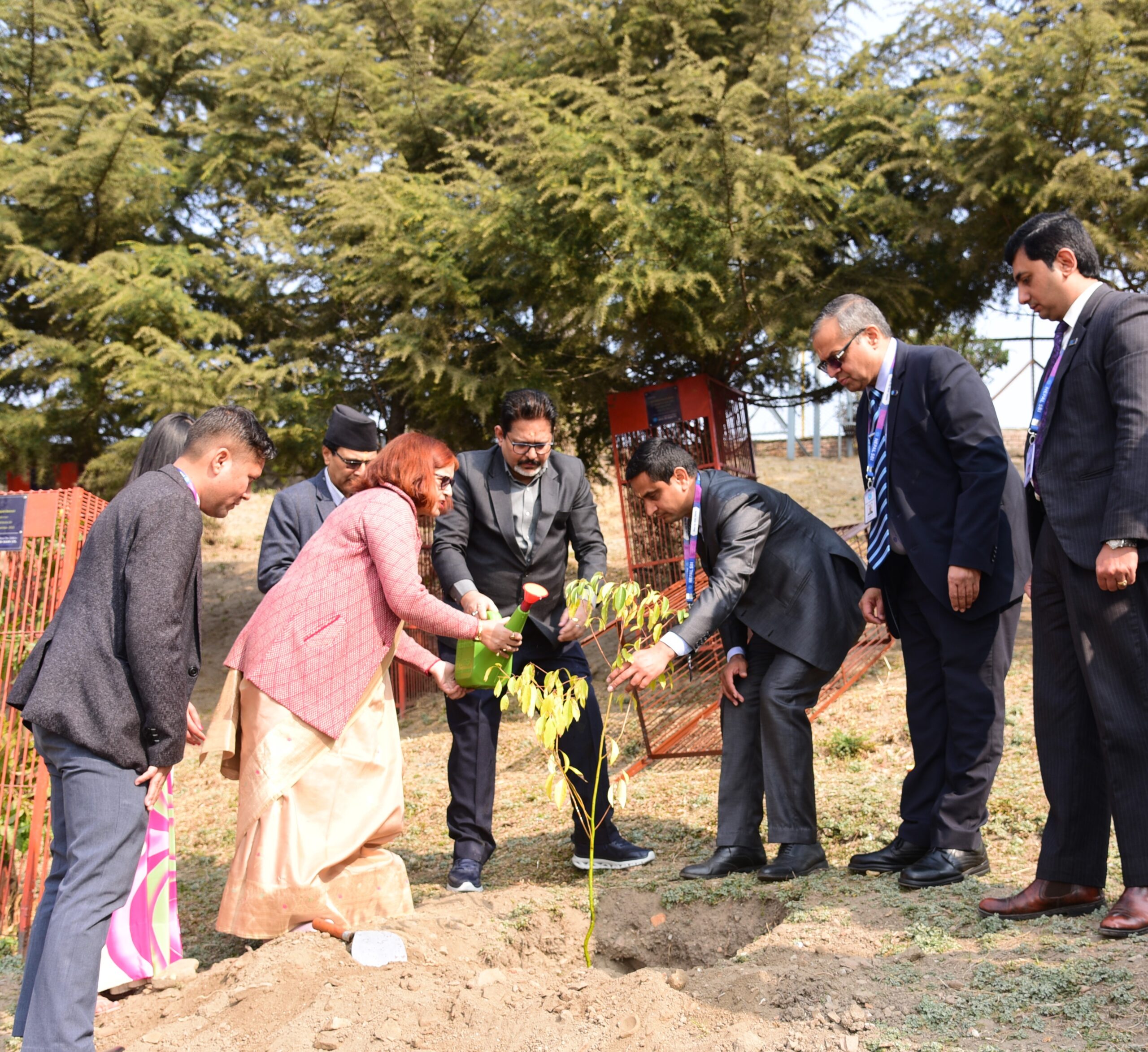 नेपाल एसबिआई बैंक लिमिटेडद्वारा कैलाश डाँडांमा वृक्षारोपण