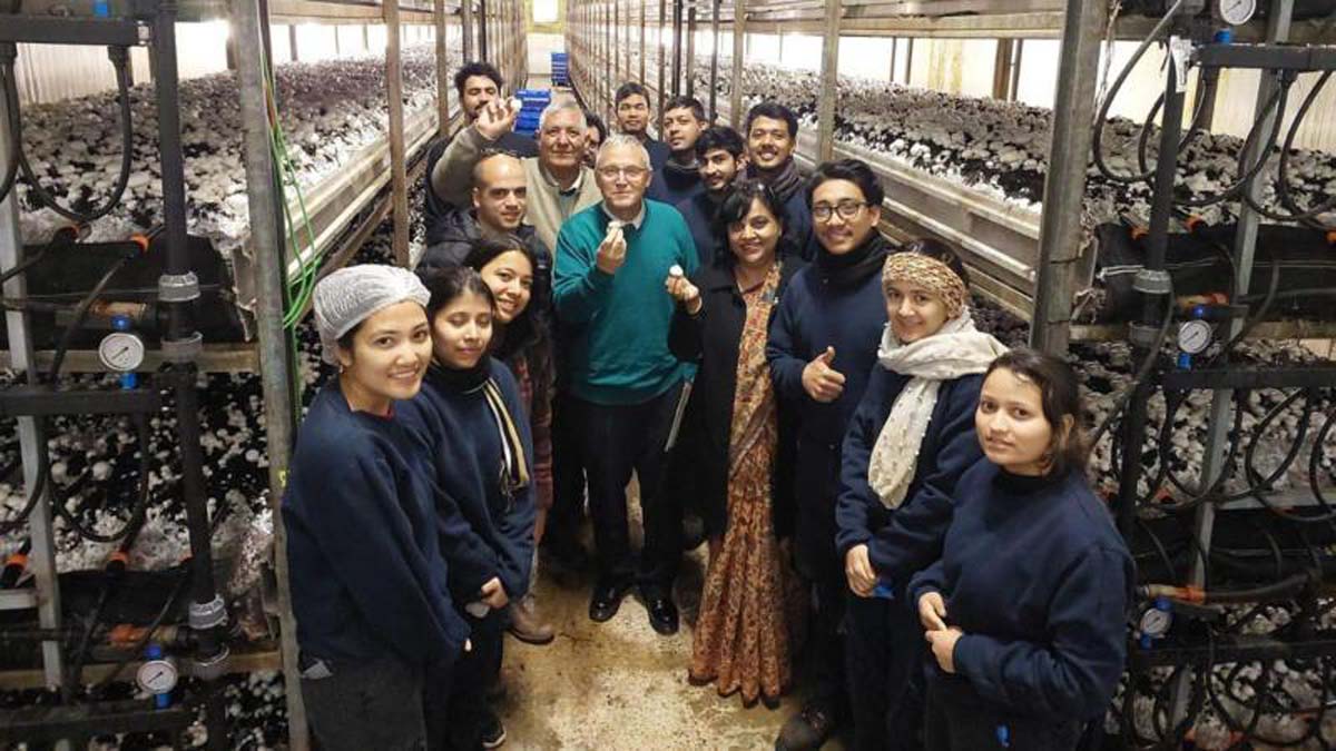 छानिएका ४० प्रतिशत नेपाली कामदार इजरेल जान ‘अनिच्छुक’, के कृषि क्षेत्र फेरि खुल्न लागेको हो