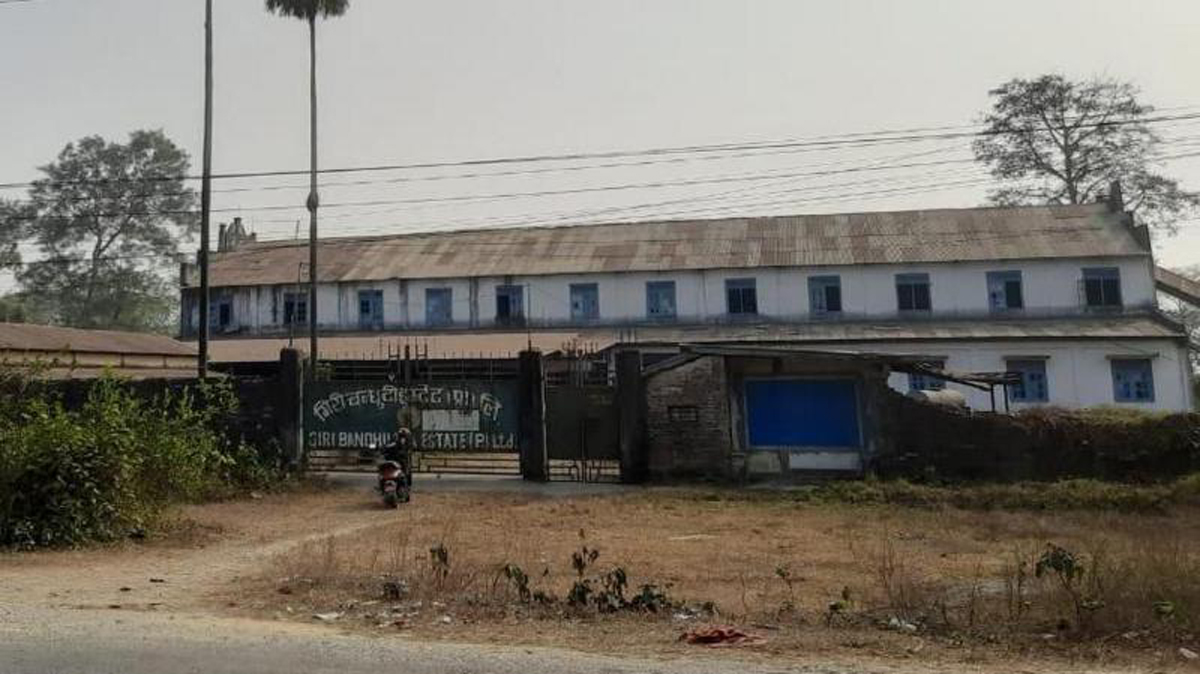 गिरीबन्धु टी इस्टेटबाहेक अरू कम्पनीलाई पनि जग्गाको हदबन्दी लाग्ने