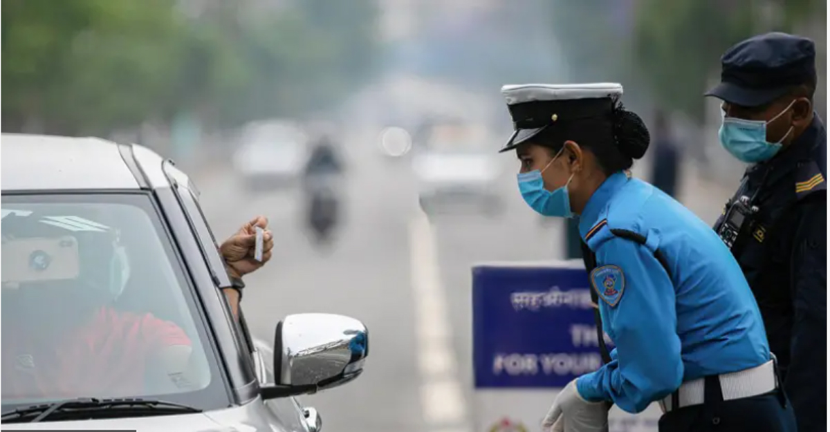 अब हामीले बोक्ने सवारी चालक अनुमतिपत्र कस्तो हुन्छ ?