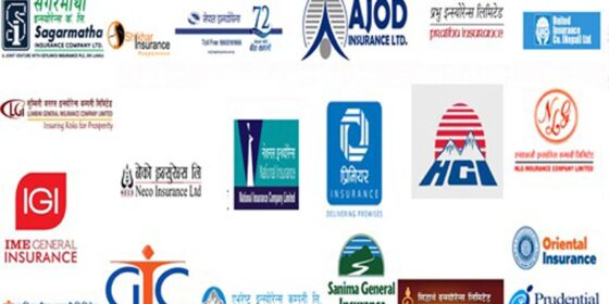 निर्जीवन बीमा कम्पनीको कारोबार बढ्यो, ५० अर्ब ६० करोड बीमा शुल्क संकलन