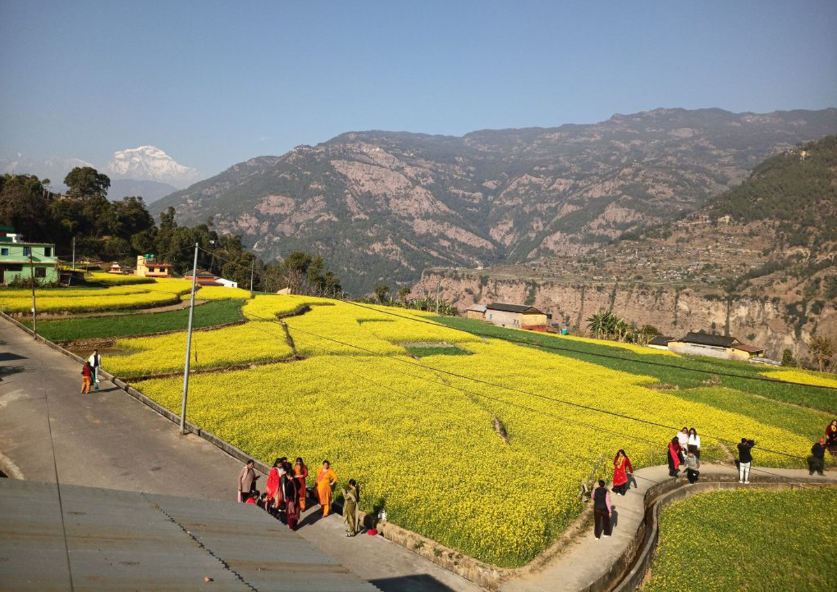 म्याग्दीको बेनी–१ मा पर्ने रत्नेचौरका तोरीबारीमा टिकटक बनाउने भीड