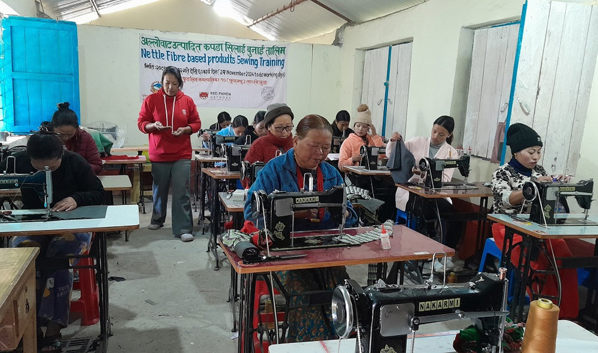 उद्यमी बन्दै ताप्लेजुङका महिला, अल्लोबाट विभिन्न सामग्री उत्पादन