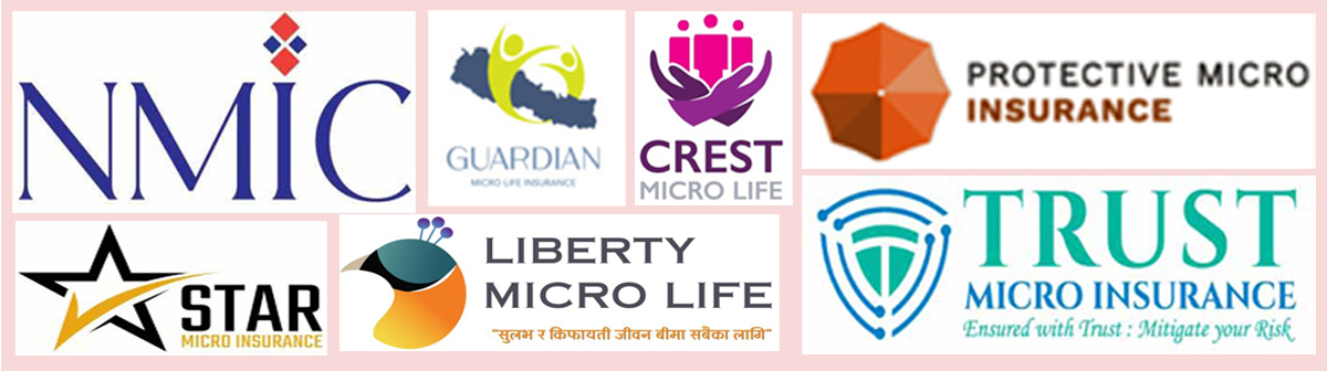 माइक्रो इन्स्योरेन्स : गाउँ लक्षित सेवा प्रदान गर्दै, बामे पनि सर्दै