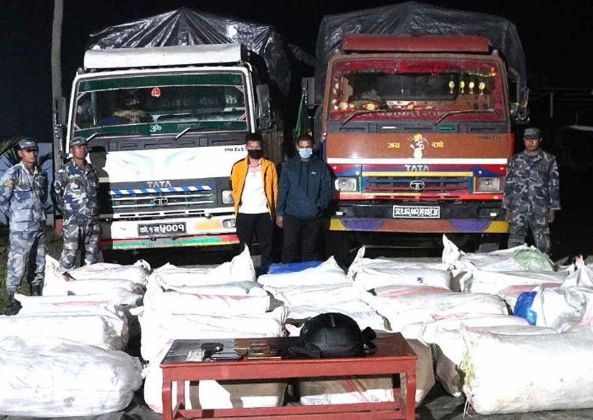 झापामा ठूलो परिमाणमा गाँजा बरामद, १६ सय ३६ किलो गाँजासहित दुई जना पक्राउ