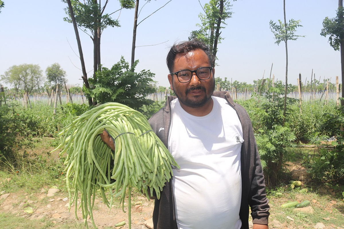 वार्षिक दुई करोडको तरकारी उत्पादन गर्दै दाङका खड्का‍, ३८ जनालाई रोजगारी दिदै