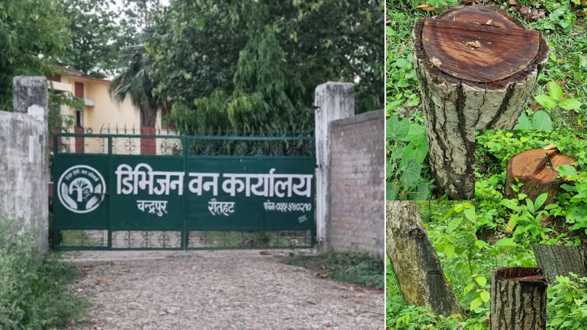 रौतहटमा अबैधरुपमा काठ कटान गरी तस्करी, संरक्षणको लागि वन कार्यालय उदासिन !