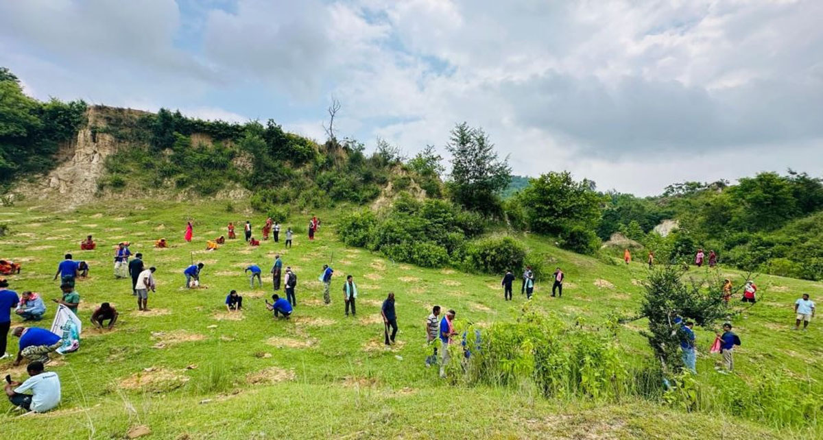 चुरे क्षेत्रको विनास रोक्दै पर्यावरणको सुरक्षा गर्न मधेसमा ८६ लाख वृक्षारोपण गरिने