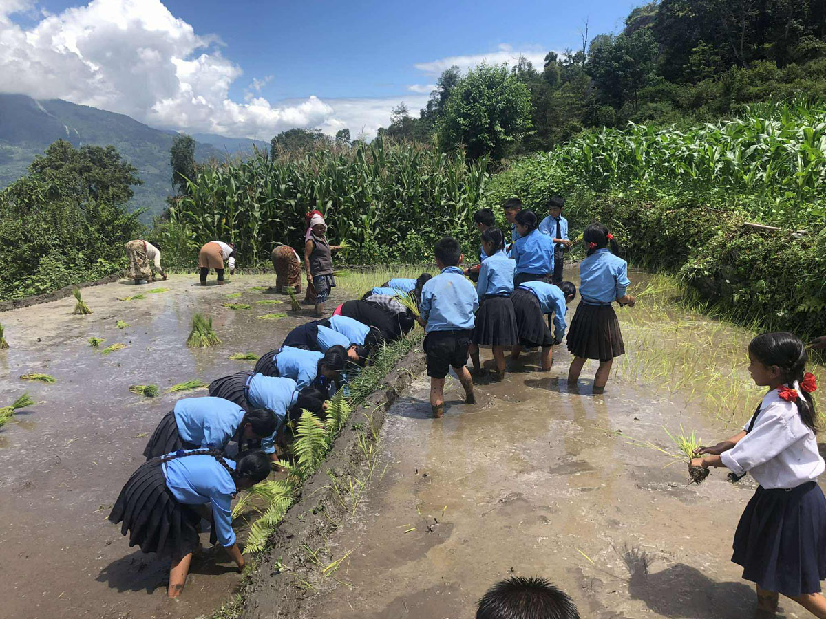 रोपाइँसँगै सिकाइको रंगीन उत्सवमा विद्योदय आधारभूत विद्यालय
