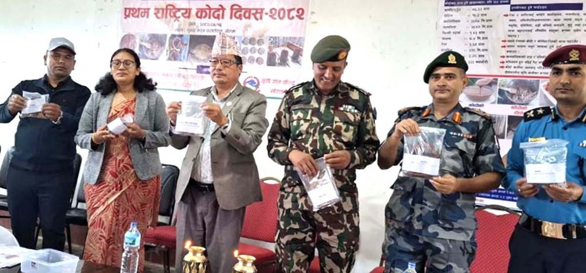 कोदोबाट बनेको ‘दिक्तेल कोदो बिस्कुट’ बजारमा, खोटाङबाट सुरु भयो व्यावसायिक उत्पादन